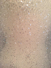 Load image into Gallery viewer, Sequin Fabric, Sequin Beaded Tulle Fabric, Sequin Bridal Fabric